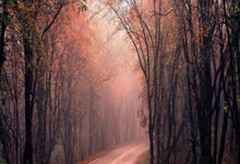 郑钦文第六次挑战萨巴伦卡会有惊喜发生？赛前已被博彩公司轻视.