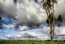 足球——世预赛：中国队召开新闻发布会并进行赛前训练.