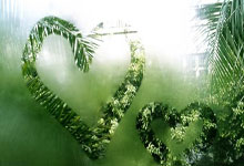 星空体育：曝萨博尼斯已厌倦为平庸球队效力 他可能会在今夏向国王申请交易.